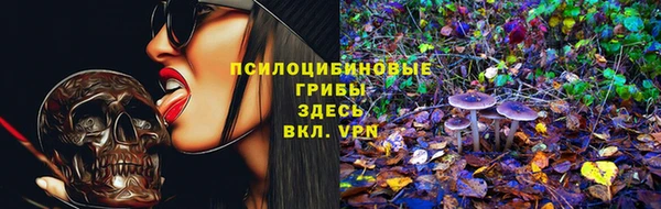 круглые Вязьма