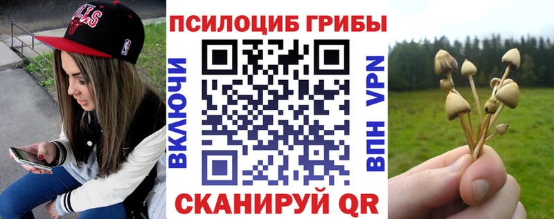 MEGA ссылка  Набережные Челны  Псилоцибиновые грибы мухоморы 