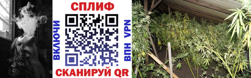 darknet какой сайт  Набережные Челны  Конопля Bruce Banner 